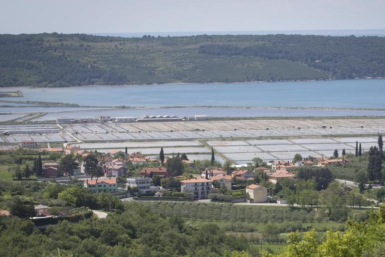 V Sečoveljskih solinah do zdaj pridelali le desetino letnega načrta