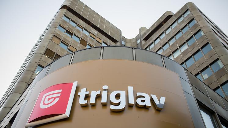 Triglav lani povečal dobiček