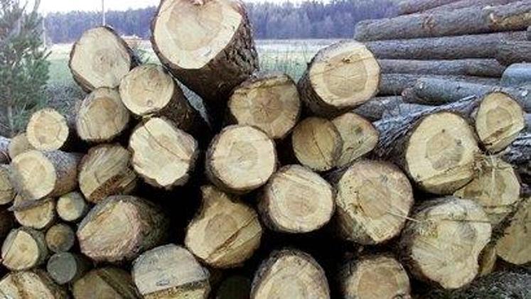Slovenski podjetniški sklad razpisuje spodbude za razvoj in uvajanje novih produktov v lesarstvu