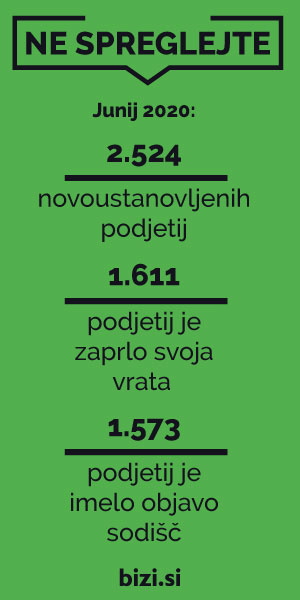 original 5f1ac9d429136_NE_SPREGLEJTE_300X600_1.jpg