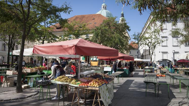 Katere so izjeme pri začasni prepovedi ponujanja in prodajanja blaga in storitev? 