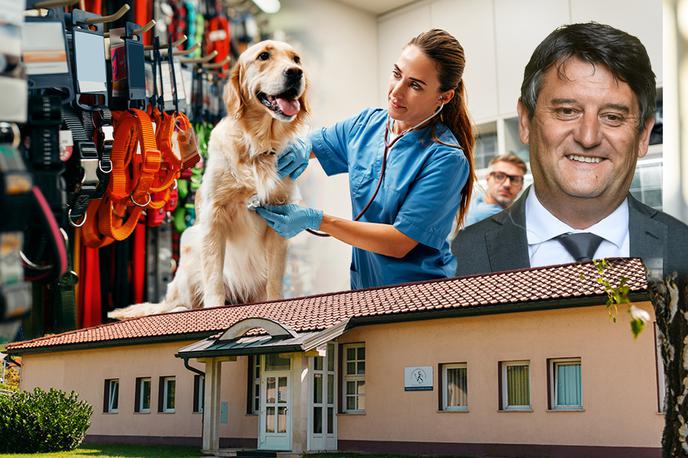 Kateri veterinarji so lani zaslužili največ? #LestviceBizi