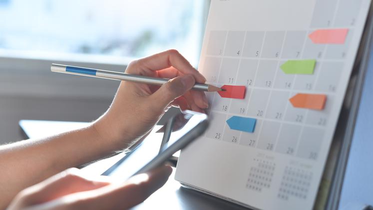 Število delovnih dni po mesecih v letu 2026