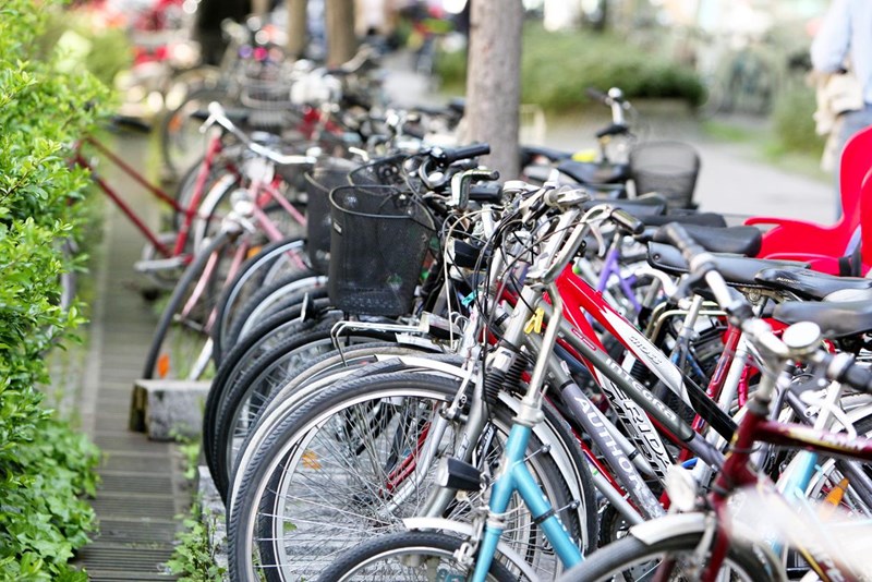 Prekmursko podjetje za 45.100 evrov kupilo blagovno znamko Rog