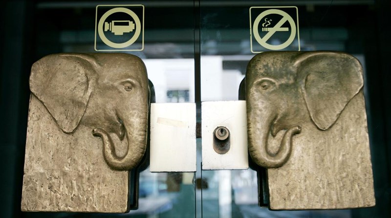 Družba Loxodonta v prevzem Hotela Slon