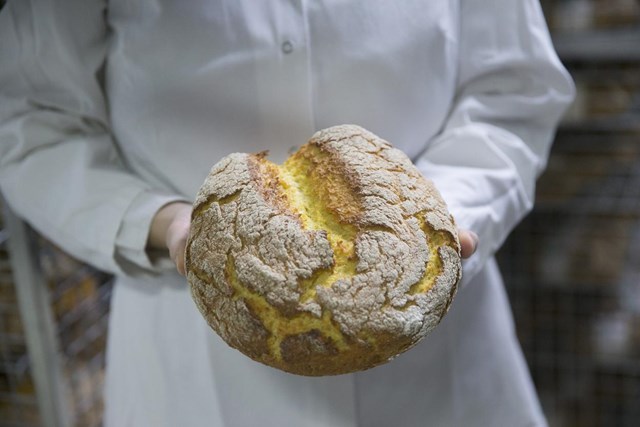 To so pekarne, ki služijo desetine milijonov evrov