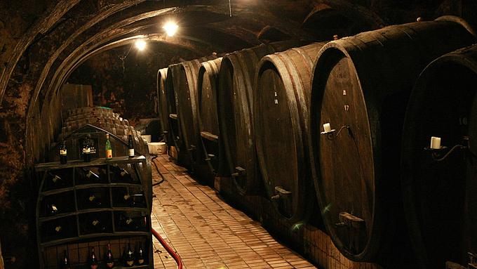 Vinagove 70 let stare buteljke bodo na prodaj v outletih