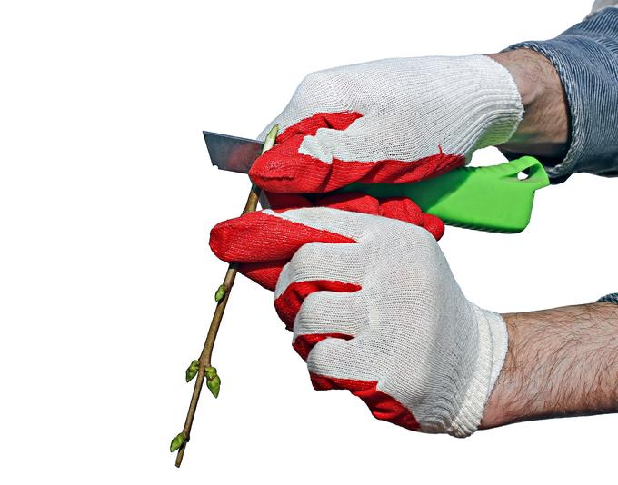 Prosta delovna mesta: Kolektor, Atlantic Grupa, mömax, sadjar v Švici ...