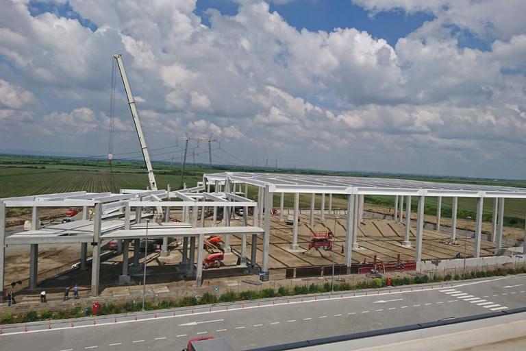 Milijoni od prodaje govorečega mačka v srbski projekt Šešokovih sinov